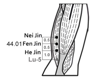 44.01 San Jin