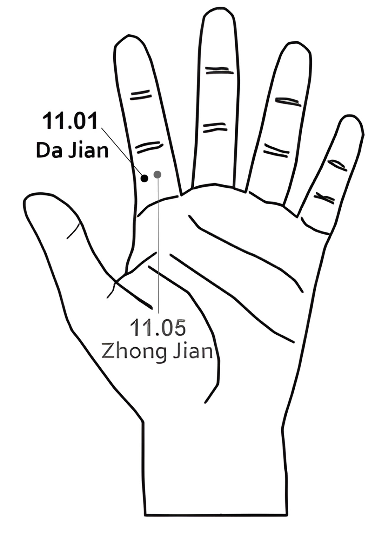 11.01 Da Jian