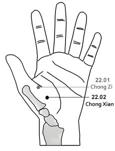 22.02 Chong Xian