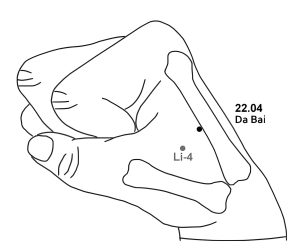 22.04 Da Bai