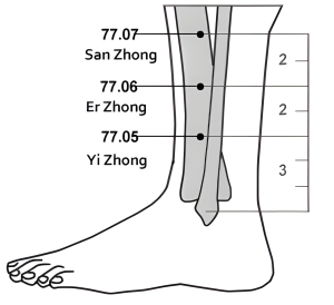 77.05-07 San Zhong