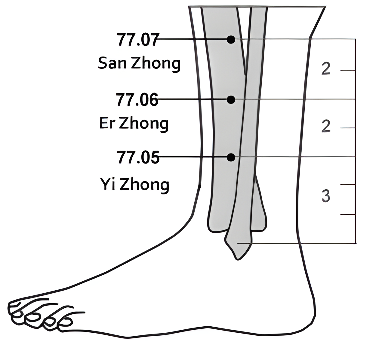 77.05-07 San Zhong