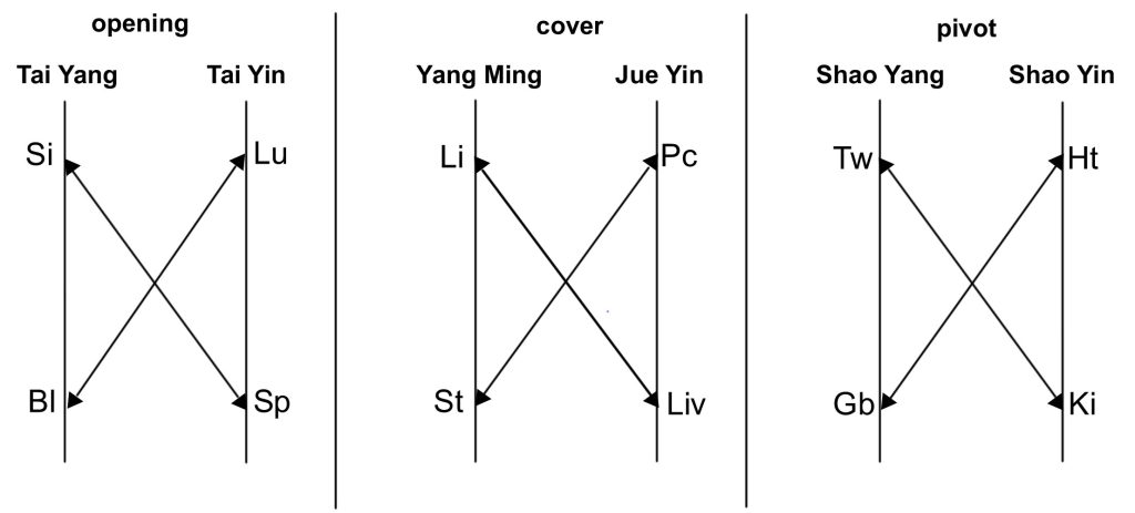 Illustration 2: Zang Fu extraordinary connections (Zang Fu Bei Tong)