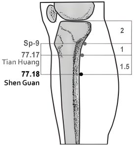 77.18 Shen Guan