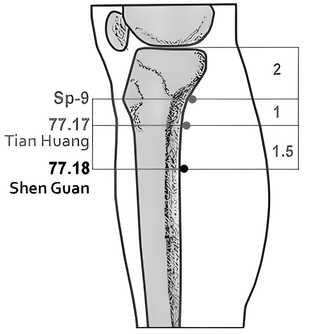 77.18 Shen Guan
