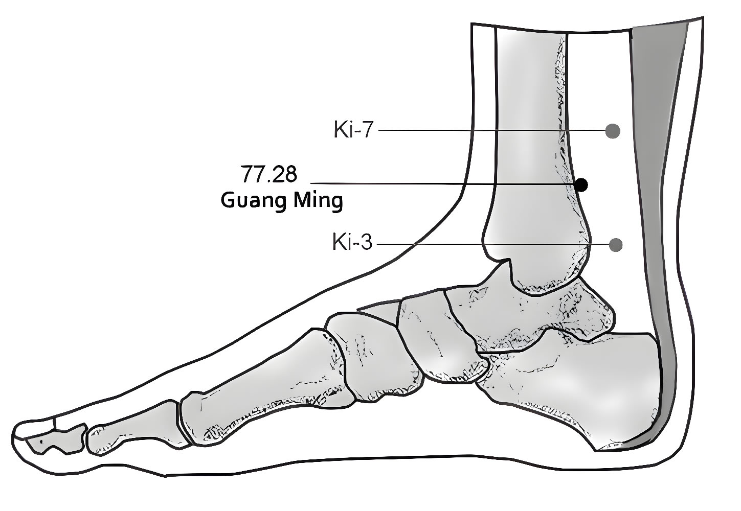 77.28 Guang Ming