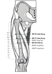 88.17-19 Sima