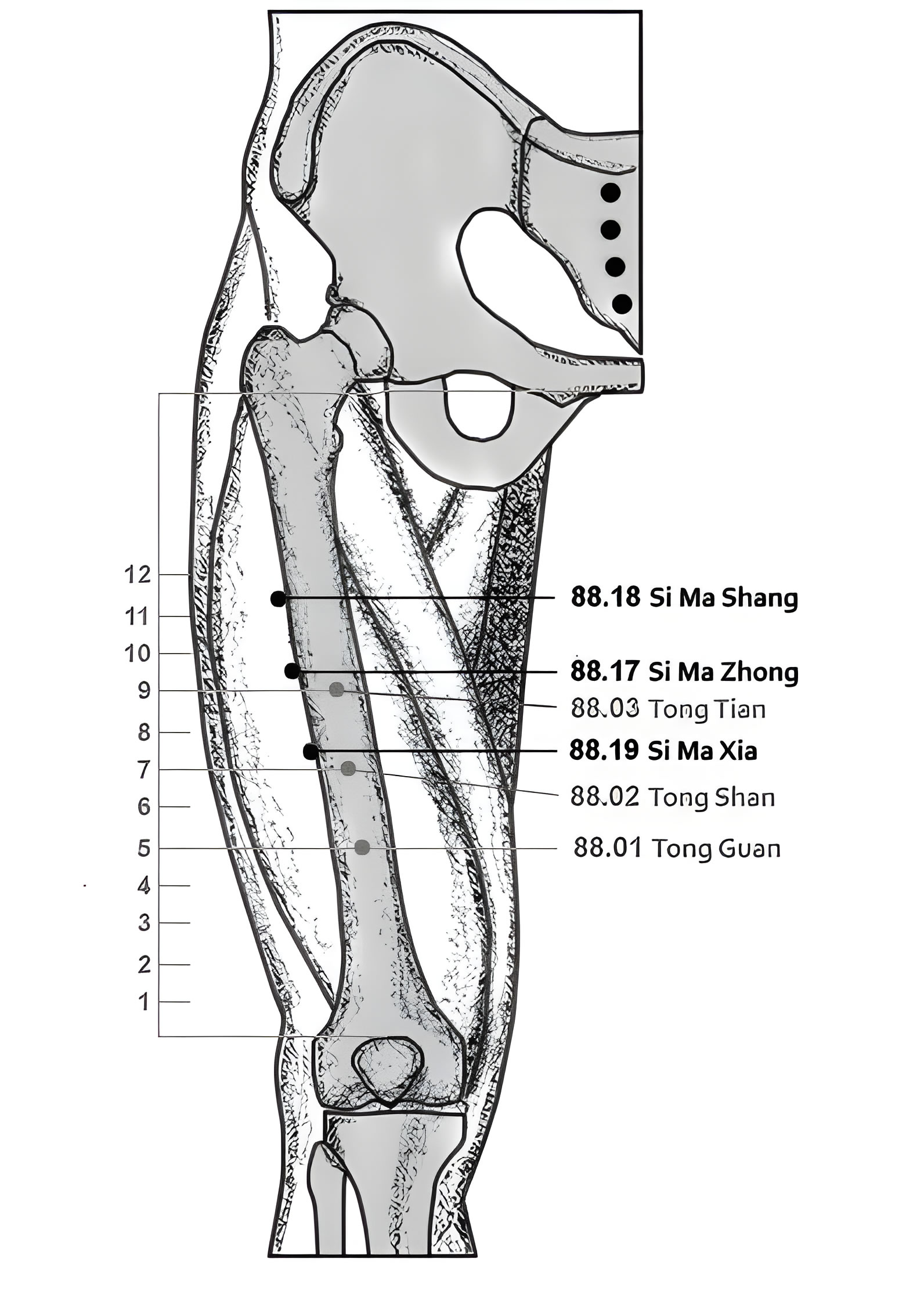 88.17-19 Sima