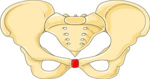 Symphysis Pubis Dysfunction