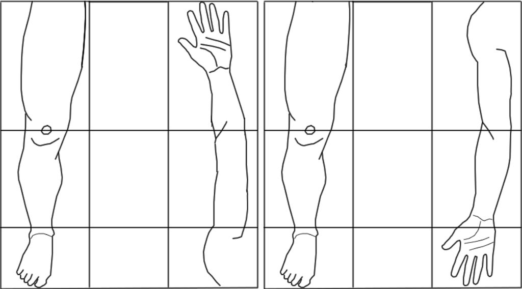 Imaging Between Upper and Lower Limbs Imaging Between Upper and Lower Limbs