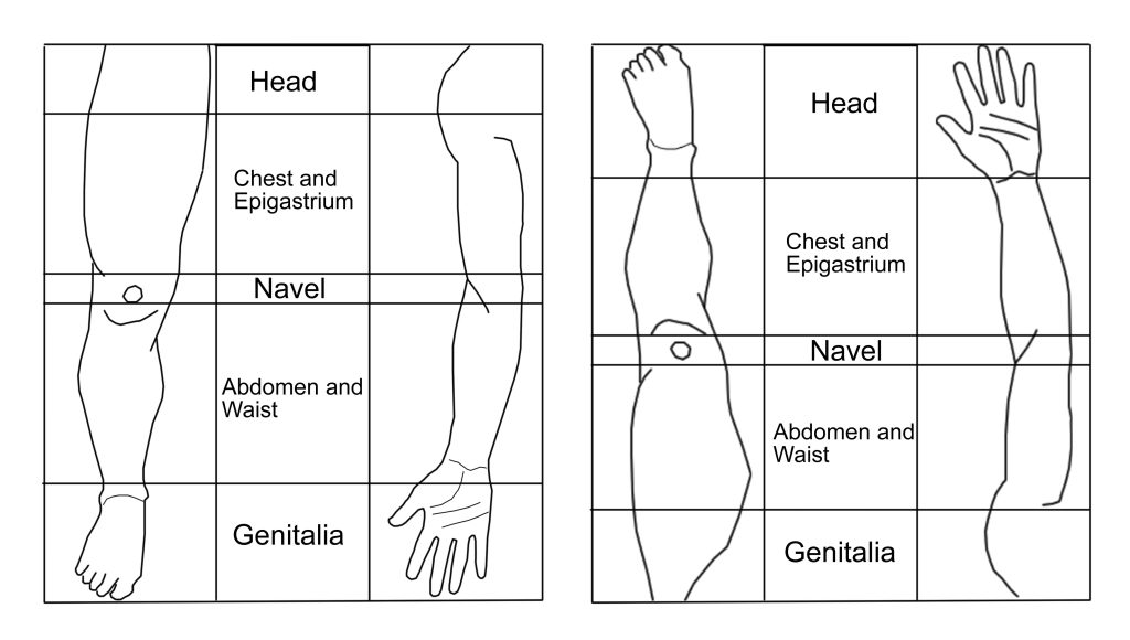 Imaging Between the Head, Neck, and Trunk and the Limbs 1 Imaging Between the Head, Neck, and Trunk and the Limbs