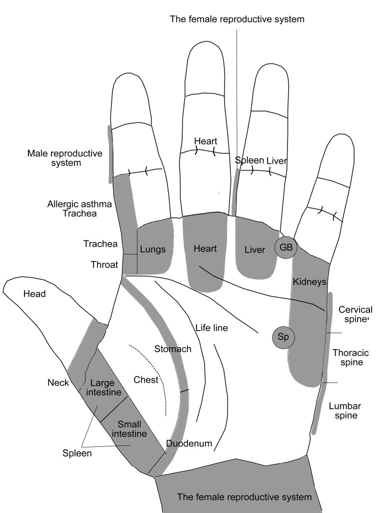 Palm Diagnosis in Master Tungs Acupuncture