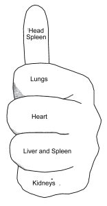 Palm Diagnosis