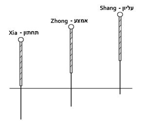Needling Techniques Depths and Angles Needling Techniques Depths and Angles