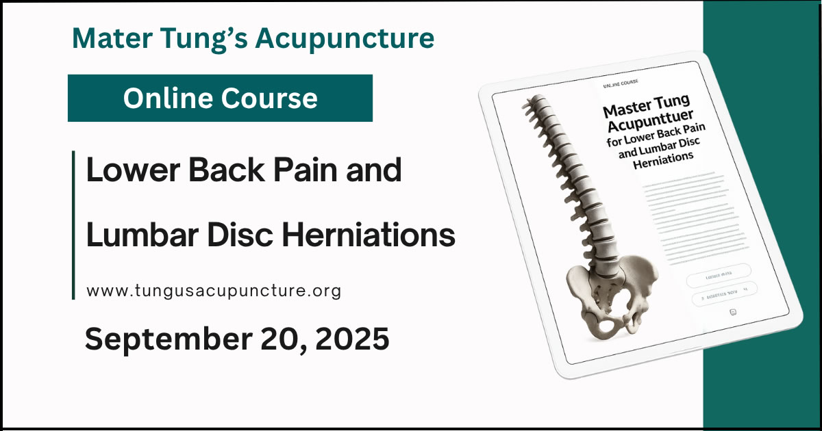 Lower back pain lumbar disc herniations master tung s acupuncture